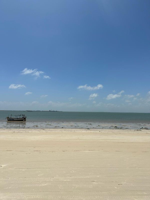 Maydi Newsletter: December 2025