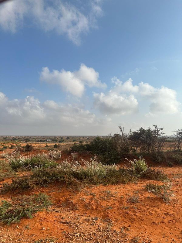 Maydi Newsletter: January 2026