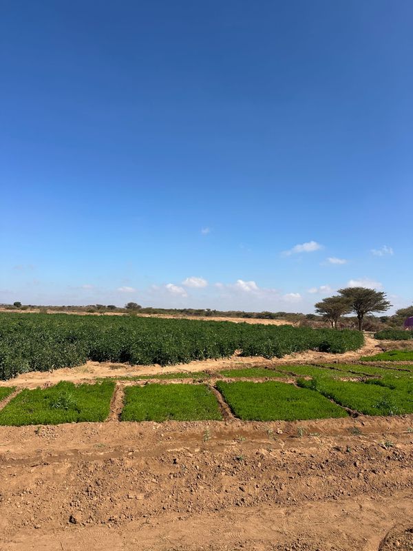 Maydi Newsletter: July 2026