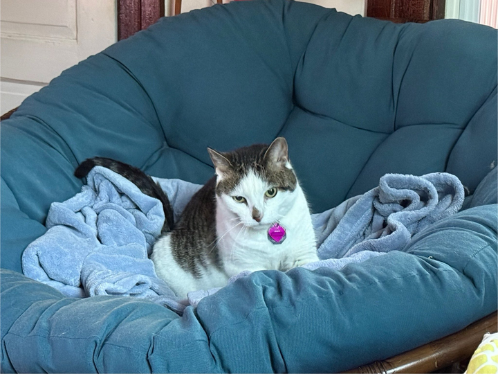 Anna's Favorite Things 2025