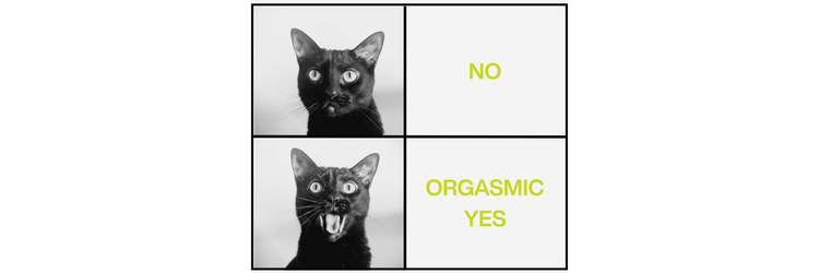 The Magic Word is “No”