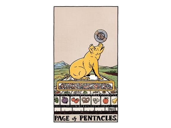 Make an Action Plan with Page of Pentacles