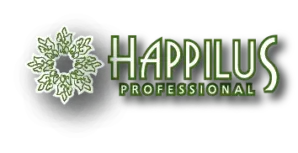 Happilus Salon and Spa | Korean Salon with Beauty & Wellness
