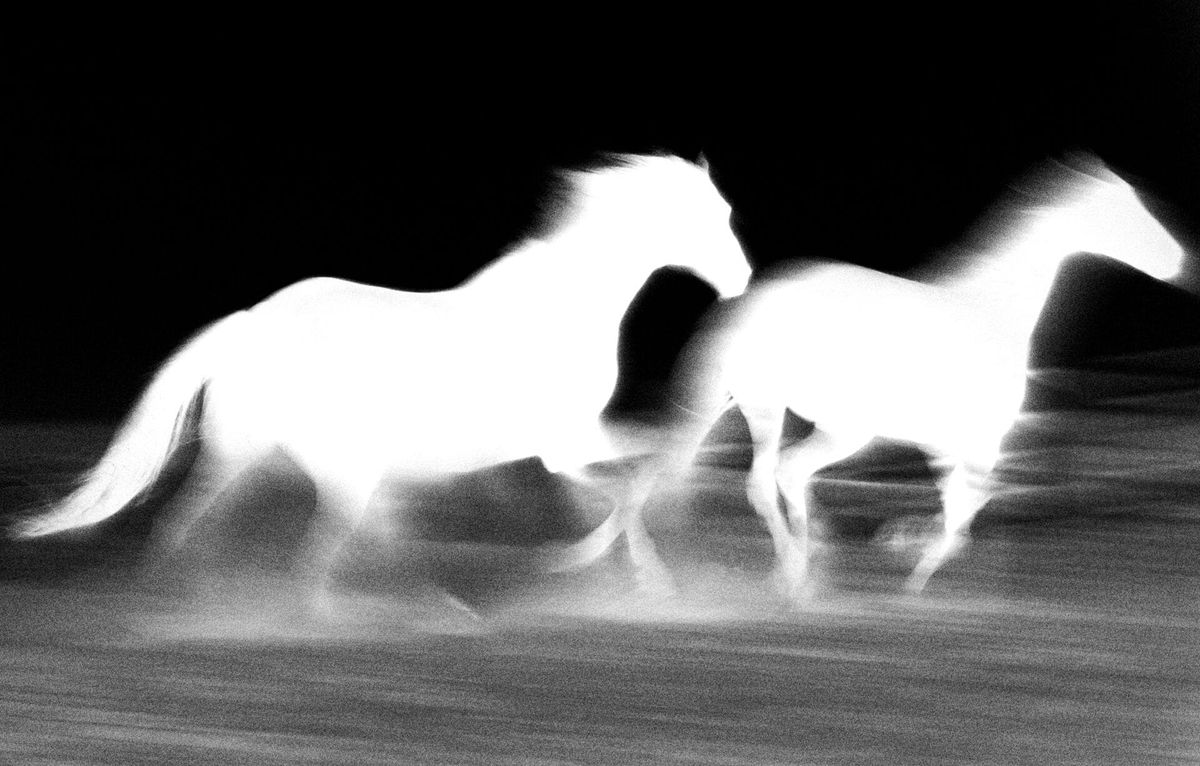 La utopía perdida de Pokémon GO