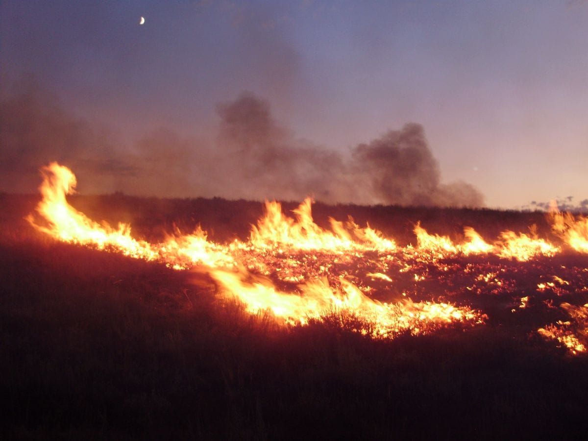 ¿Por qué arde la Patagonia?