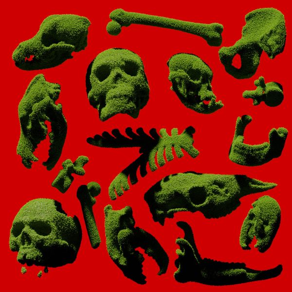 Viendo a gente morir en internet