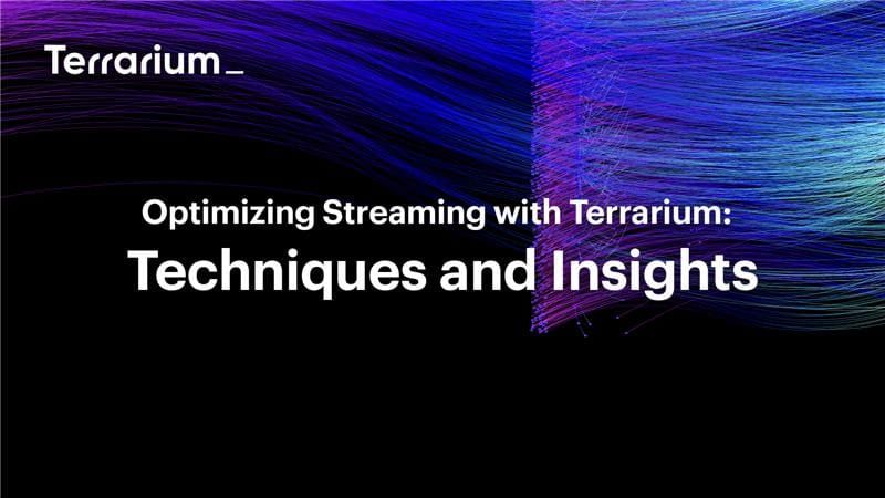 Optimizing Streaming with Terrarium: Techniques and Insights