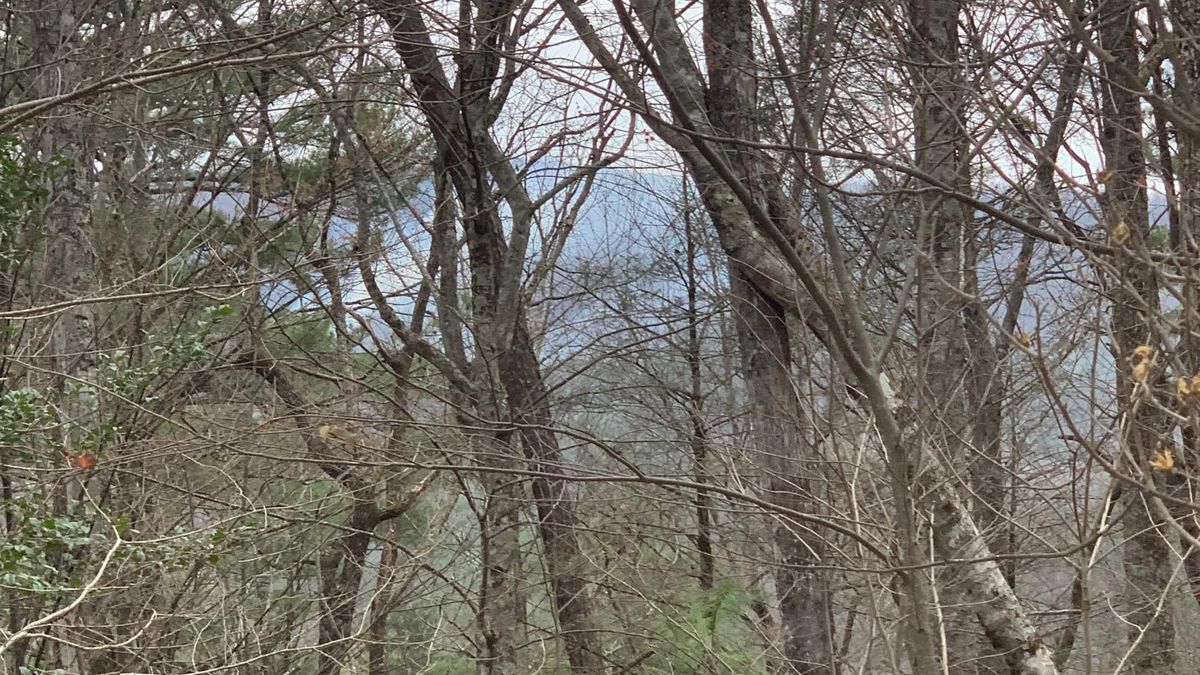 Daylight Saving, Wildfires, and the Push to Keep Moving Forward