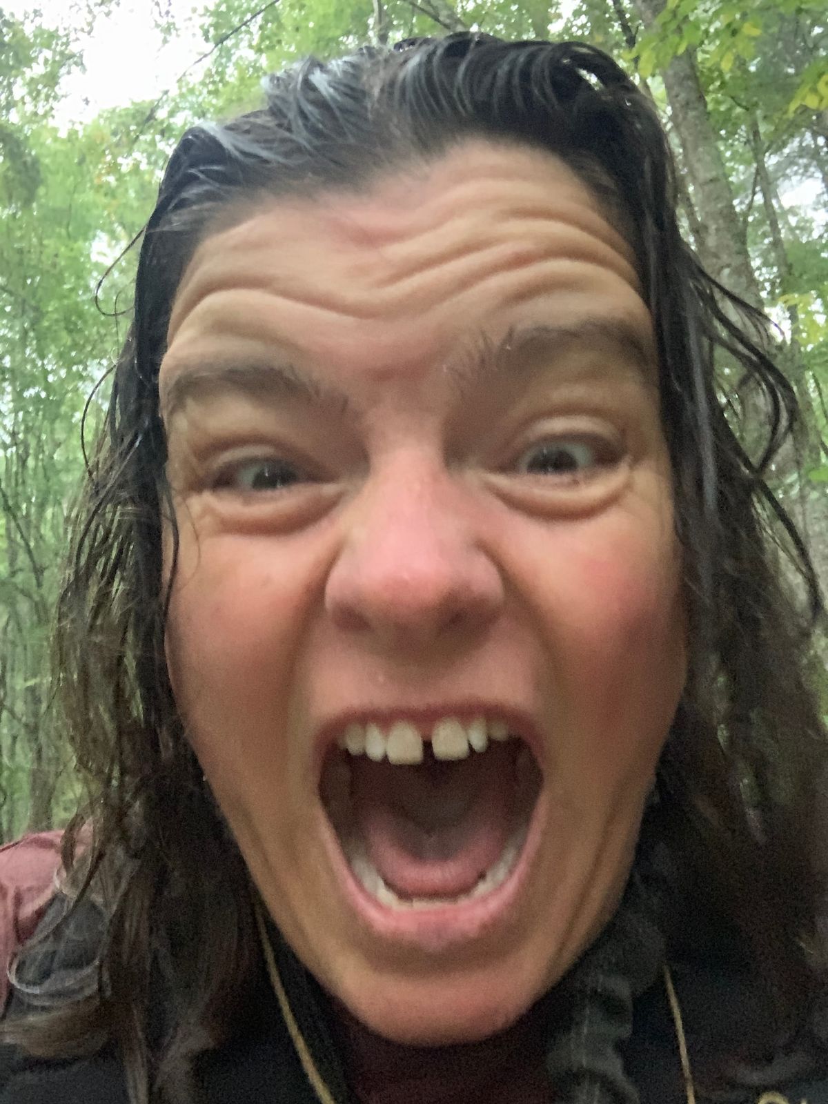 Humidity, Muffin Tops, and the Forest Mafia