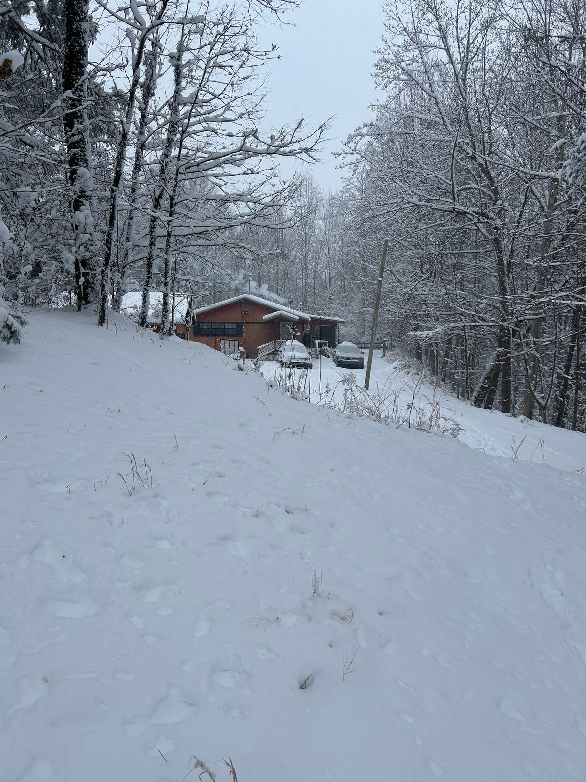 Snow Angels, Roosters, and Other Winter Lessons