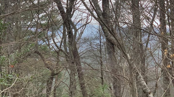 Daylight Saving, Wildfires, and the Push to Keep Moving Forward