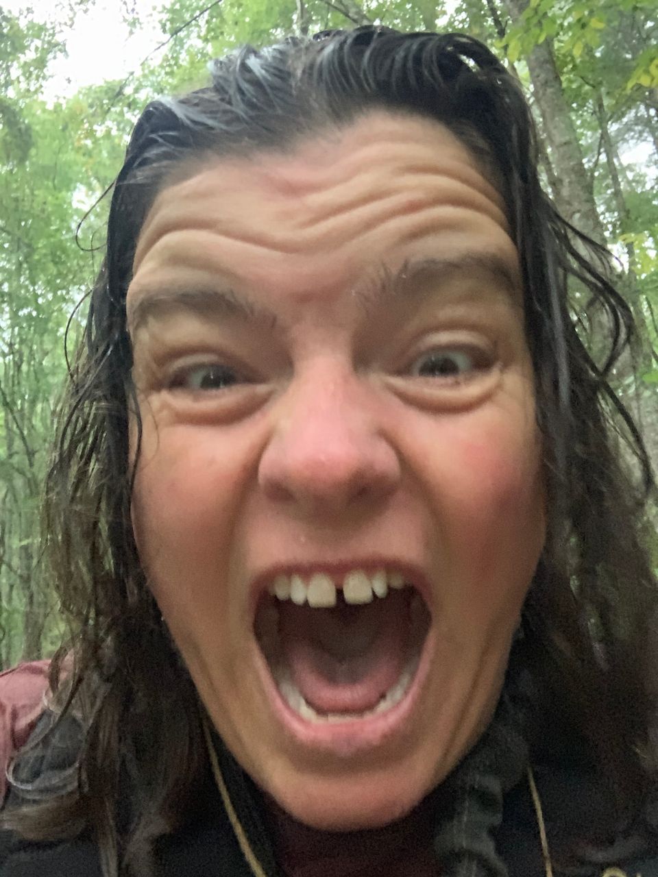 Humidity, Muffin Tops, and the Forest Mafia