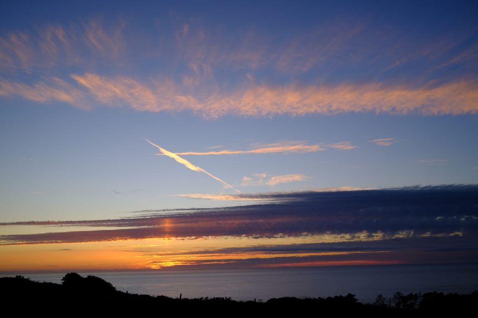 Fresh post, who dis?