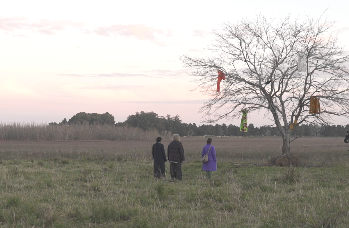 Essay: El affaire Miu Miu (2024)