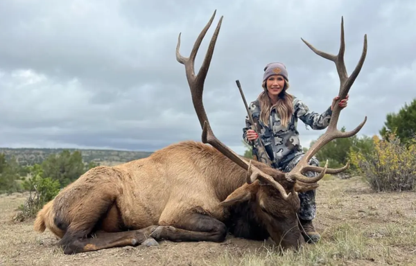 Essay: Tár, Civil War, and intention