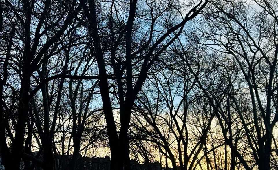 Winter solstice + wrapping up 2025!