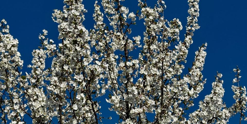 Spring equinox + upcoming events!