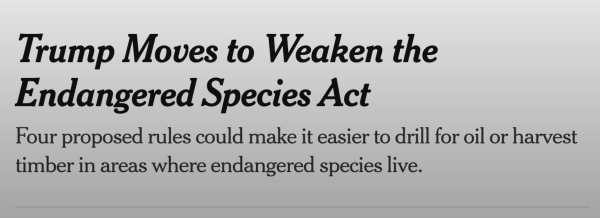 Trump versus endangered species