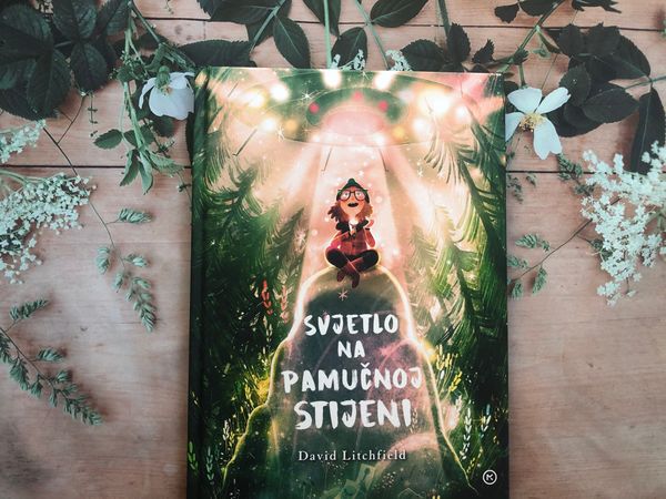 David Litchfield: Svjetlo na Pamučnoj stijeni