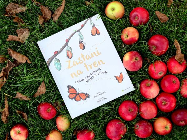 Rachel Williams: Zastani na tren