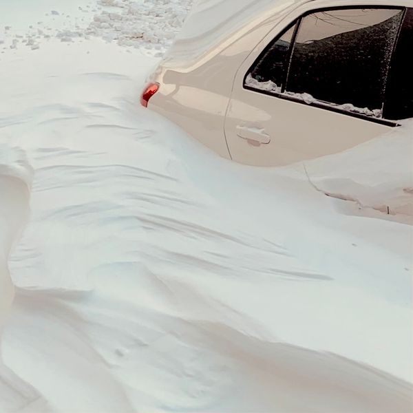 No. 44 - L’ensevelissement