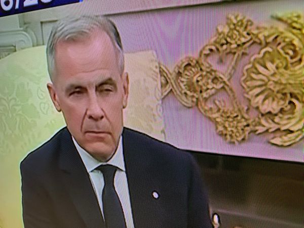 No. 55 - Surtout, ne pas vomir