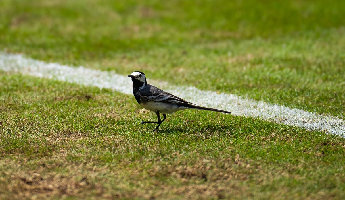 All Hands On The Bad One