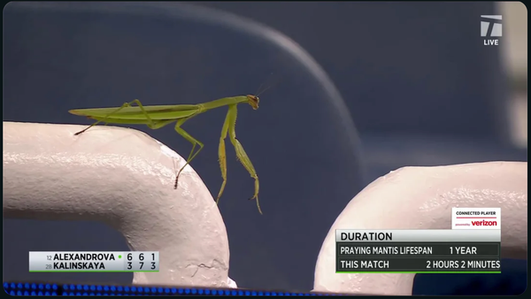 Bagel Bites: Taylor Swift has a new album