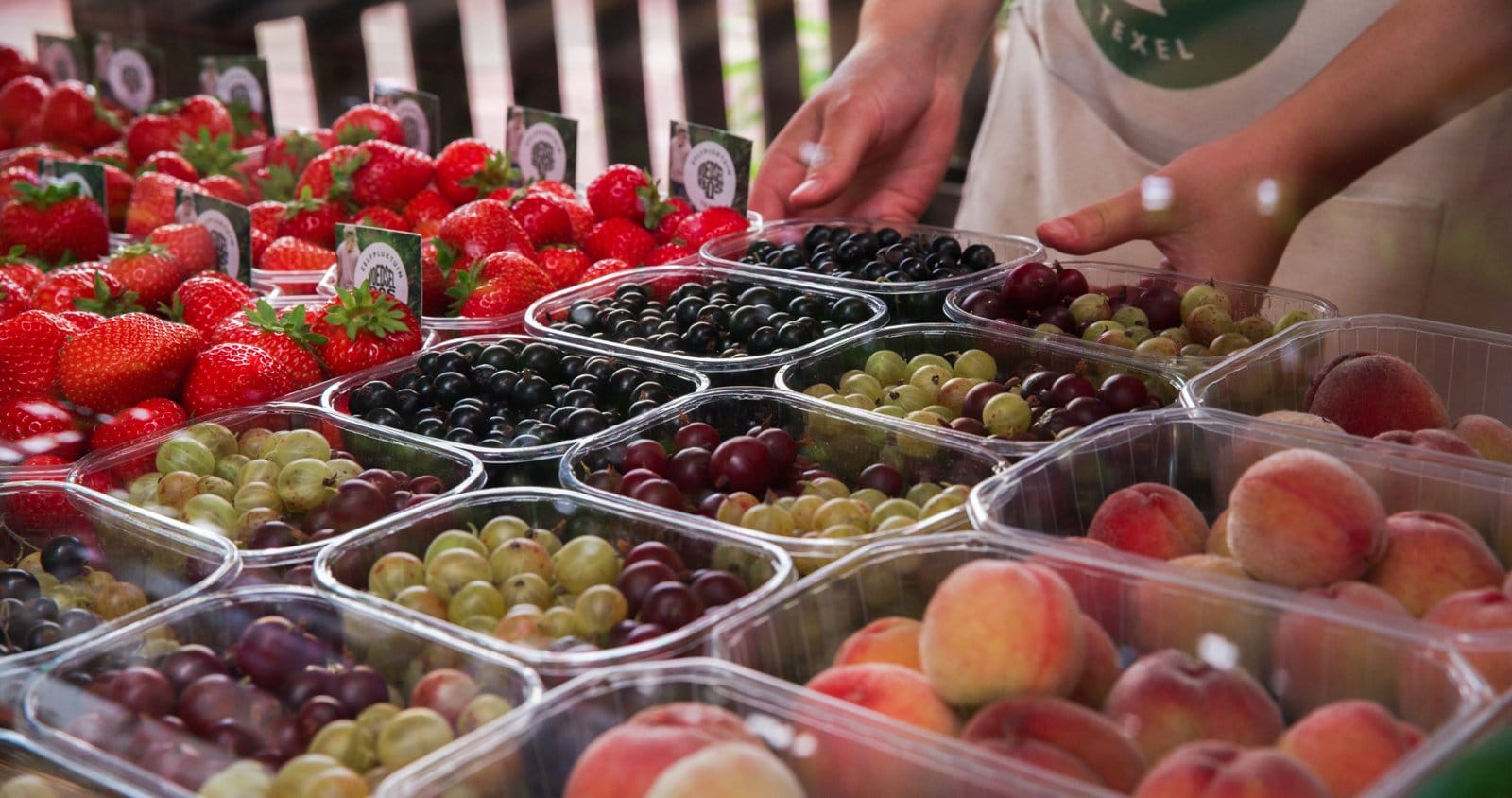 Obst und Beeren im Voedselbos auf Texel
