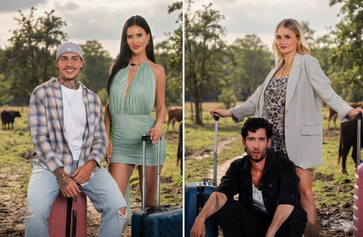 Tano und Anna (li.) und Ferry und Kathy sind ins "Sommerhaus" gezogen.