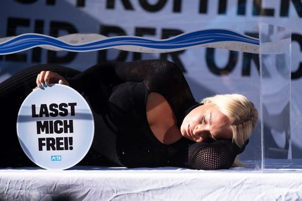 Sarah Connor im Aquarium. Foto: PETA