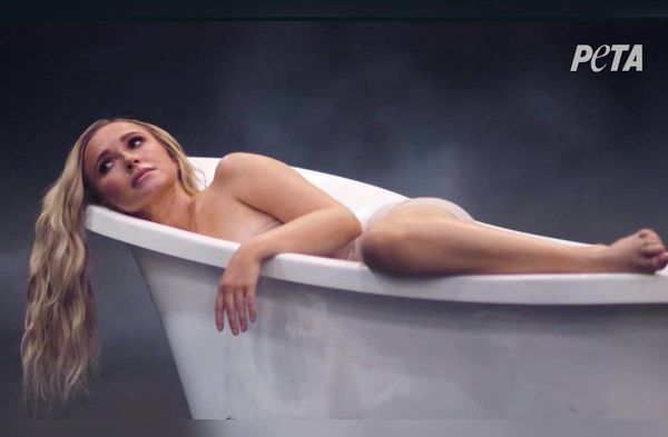 In der Werbekampagne liegt Hayden Panettiere unter anderem nackt in der Badewanne, um auf die Gefangenschaft von Delfinen au…