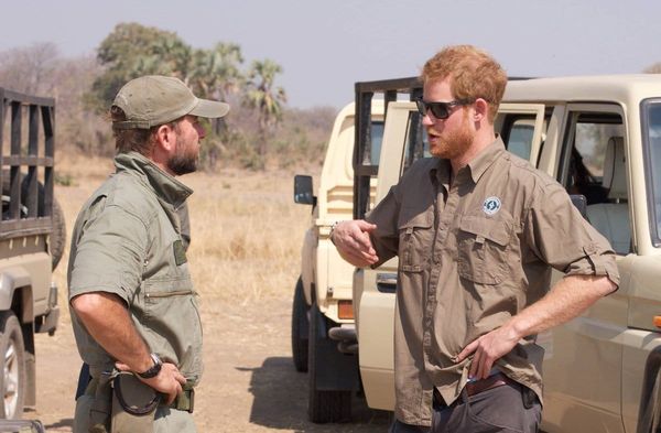 Prinz Harry war seit 2016 mit der Organisation African Parks verbunden.