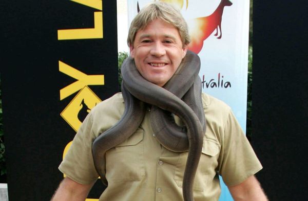 Steve Irwin auf einer Aufnahme aus dem Jahr 2005.