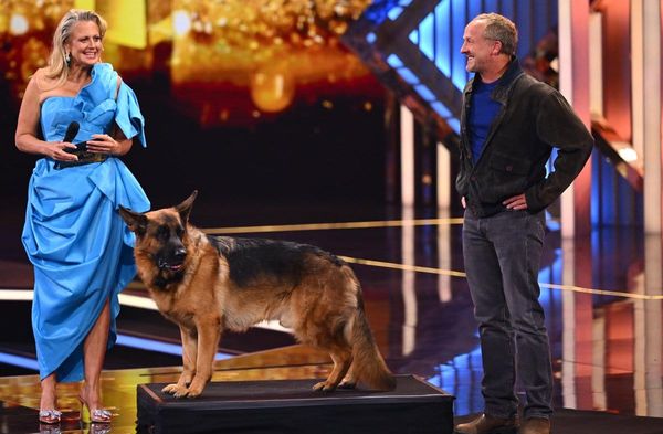 Maximilian Brückner mit "Kommissar Rex" auf der Fernsehpreis-Bühne.