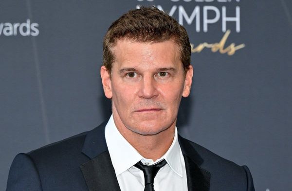David Boreanaz ist mit seinem Schauspielkollegen Chad Lowe befreundet, dessen Tochter mit nur 13 Jahren gestorben ist.