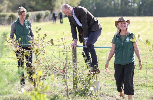 Prinz William beim Klettern über einen Zaun in Abergavenny.