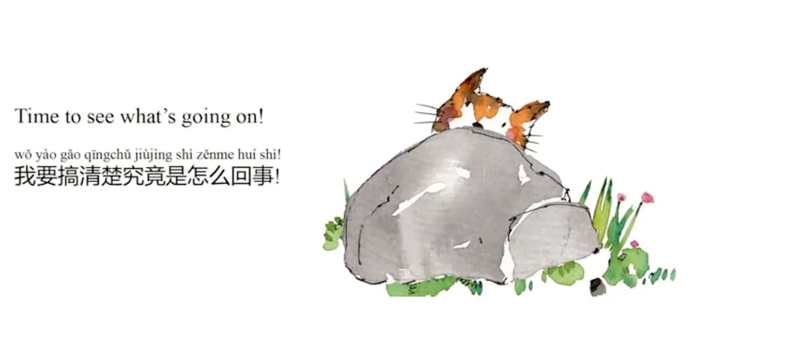 Qixia Yu's Who's in our Garden