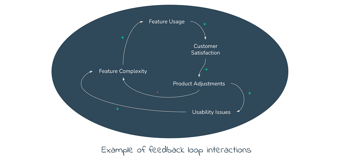 Diagram labelled ‘Example of feedback loop interactions’ showing positive and negative feedback between elements such as ‘fea