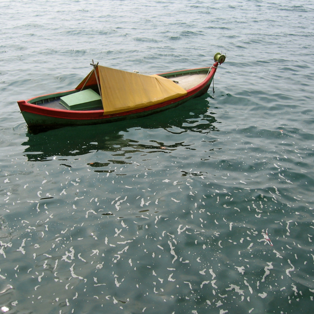 Capítulo 1 - Deriva