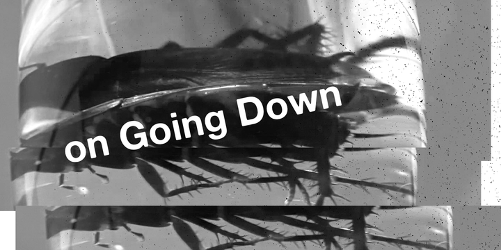 on Going Down and the cost of sliving: a long-form poem