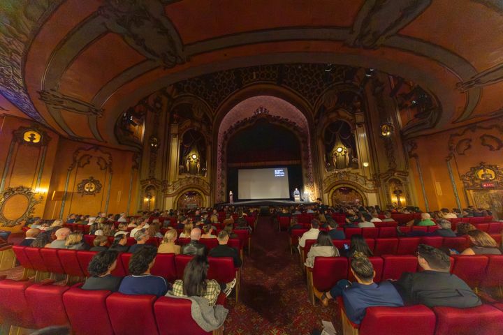 Sydney Film Festival wrap up