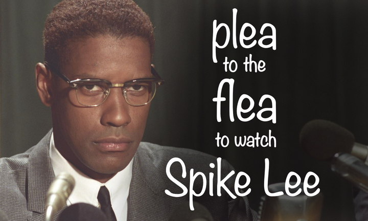 A PLEA TO THE BOSS FLEA TO WATCH SPIKE LEE
