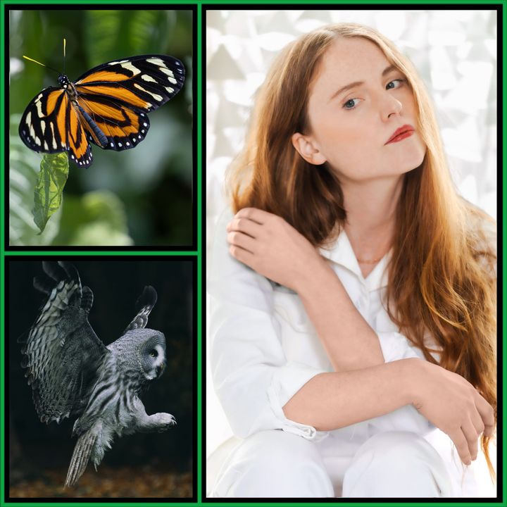 A butterfly, a red-haired woman, an owl in flight.