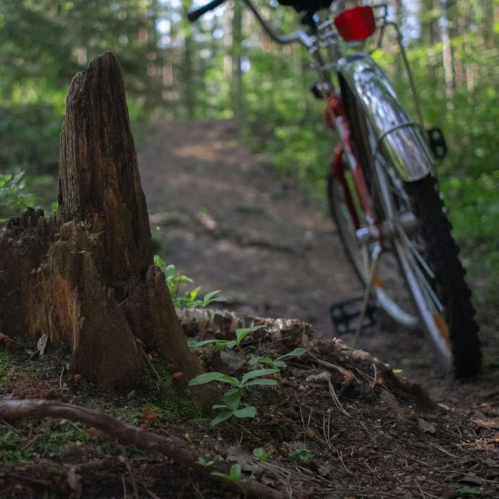 a bike parked on a wooded path