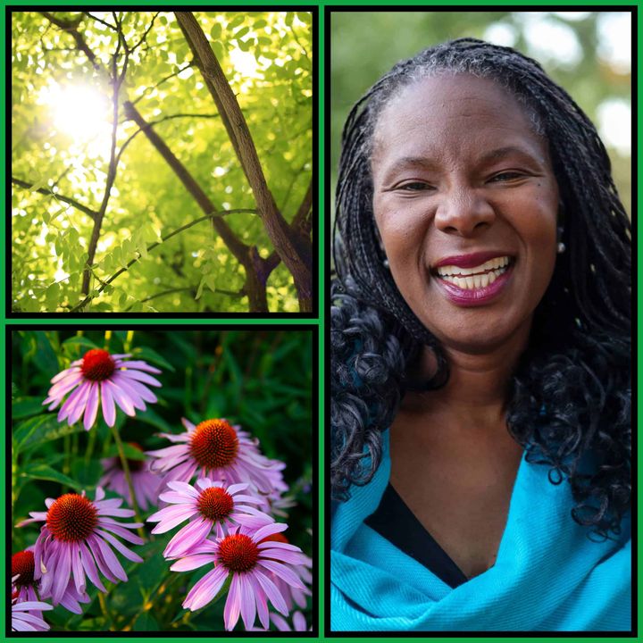 Three-panel collage: sunlight through green leaves, purple coneflowers, and Melanie Harris smiling outdoors in a teal wrap.