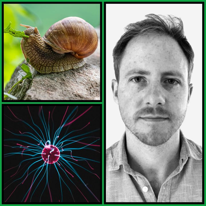 Three-panel collage: a snail on a rock, a plasma orb trailing cyan filaments, and a black-and-white portrait of Philip Goff.