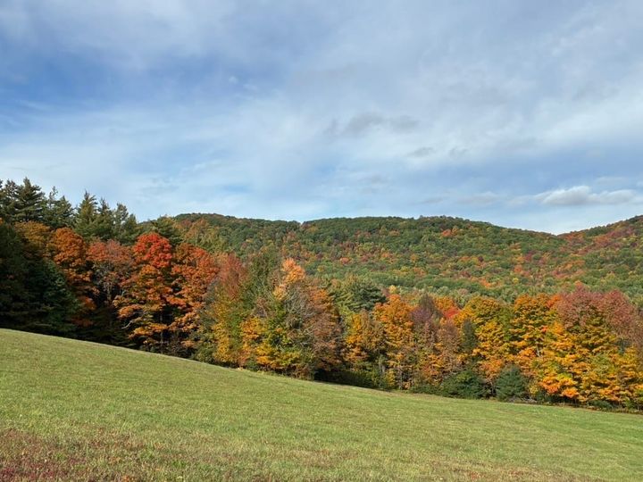 Autumn leaves dot the trees covering the Vermont hills. 
