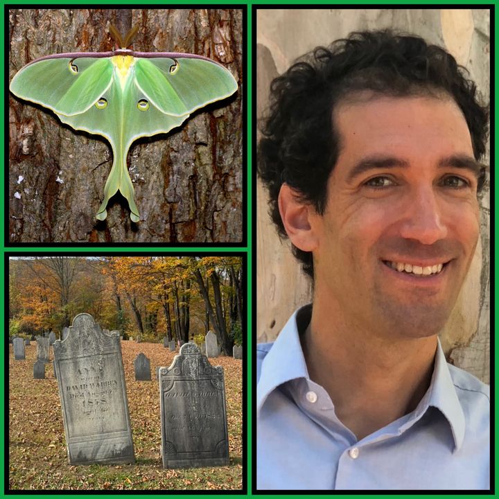 Collage: a green luna moth spread on tree bark (top left), weathered gravestones in an old cemetery under fall foliage (bottom left), Daniel Mason smiling in front of a tree trunk (right)