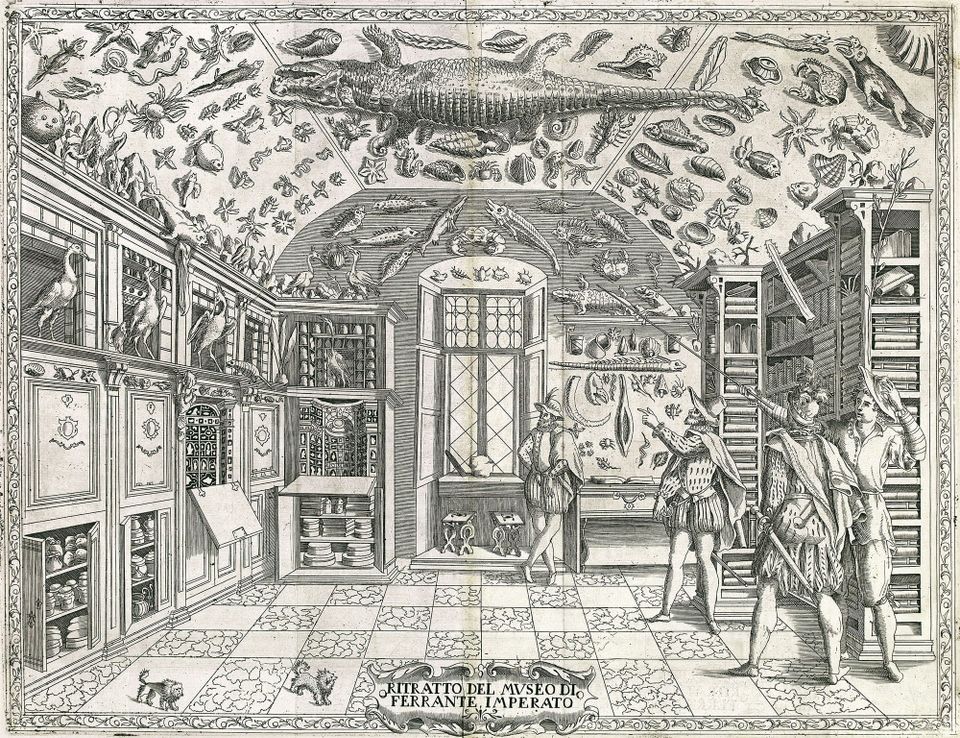 Sea animals, an alligagor, birds, crests and a whole myriad of wonders adorn a room. 